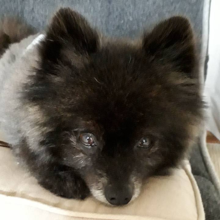 34fc443e bb74 4ce9 bd6d 4bba5aca0bde 1542477857812