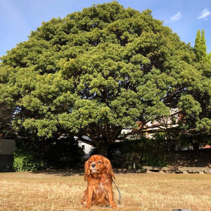 34fc5fc2 c080 4438 addf d46243a93a19 1575161380894