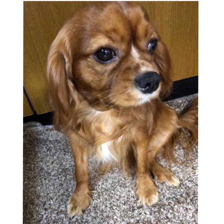 34fc9c76 9b7d 47f7 b98d d0aea49da761 1548714474417