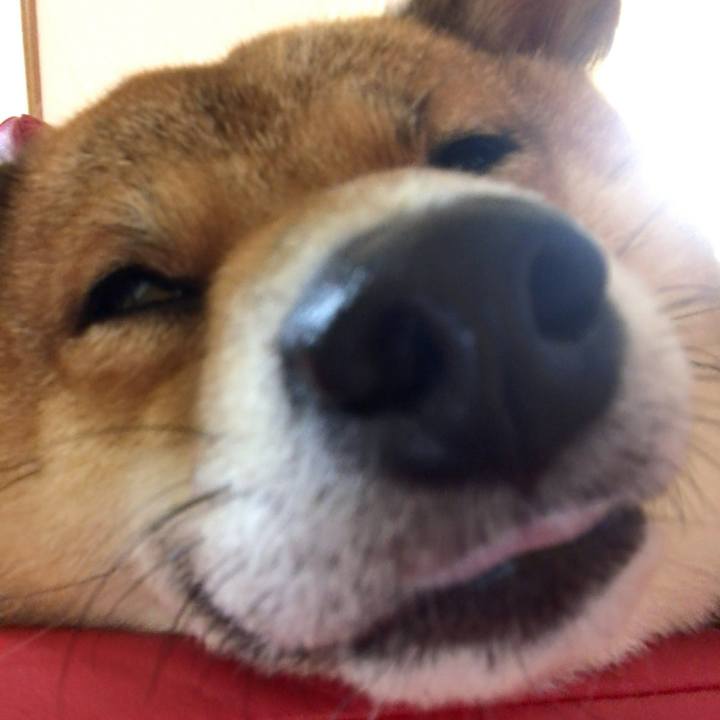 34fccb92 1dee 44ae 9ce5 5c9dc7253dac 1534943419775