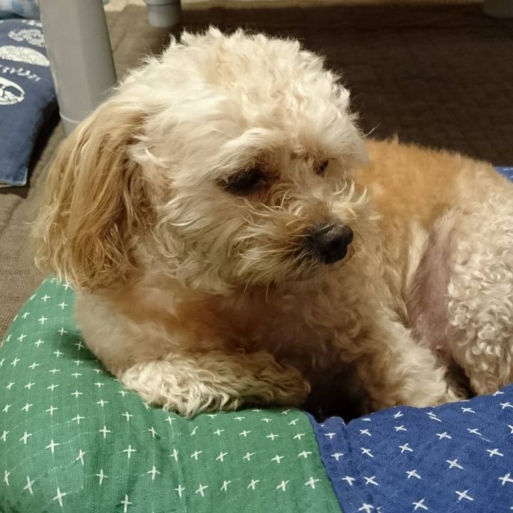 34fcdea8 9b24 4251 88e7 8c2b79cde3ef 1535890289140