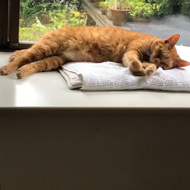 34fcef0b 2c23 4d3a 9883 ba4e85df6e67 1530780582257