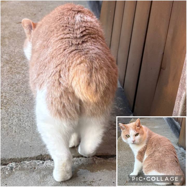 34fd0834 aecf 4c91 80bd 0d04b2ce03cc 1764545758519