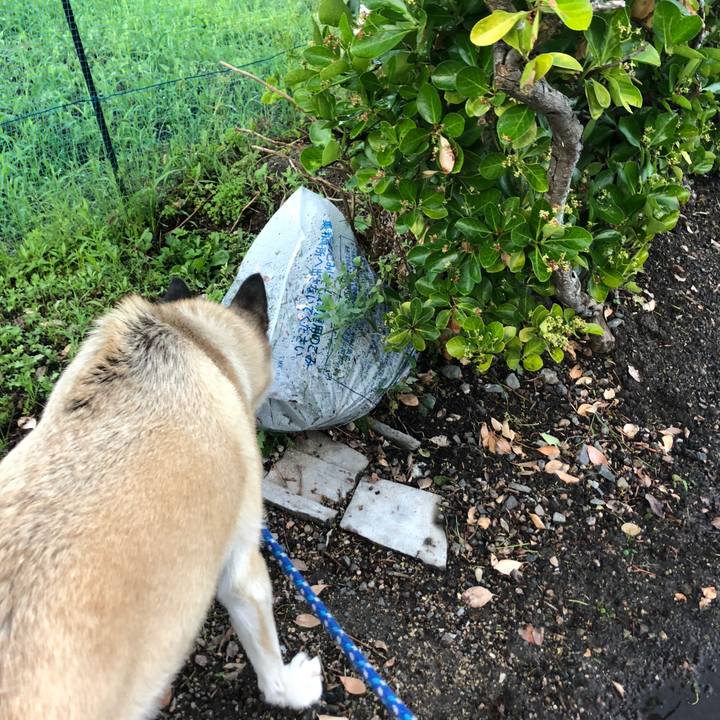 34fd2d36 fe24 4b02 bbcd 9049bc3a57fa 1625487025877