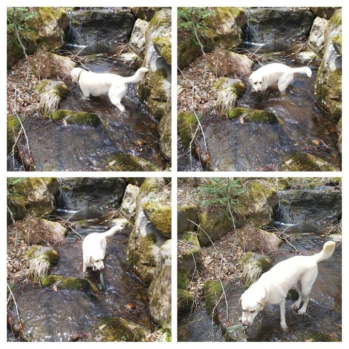 34fd41b6 1114 4b16 8816 5104222add41 1557118448177