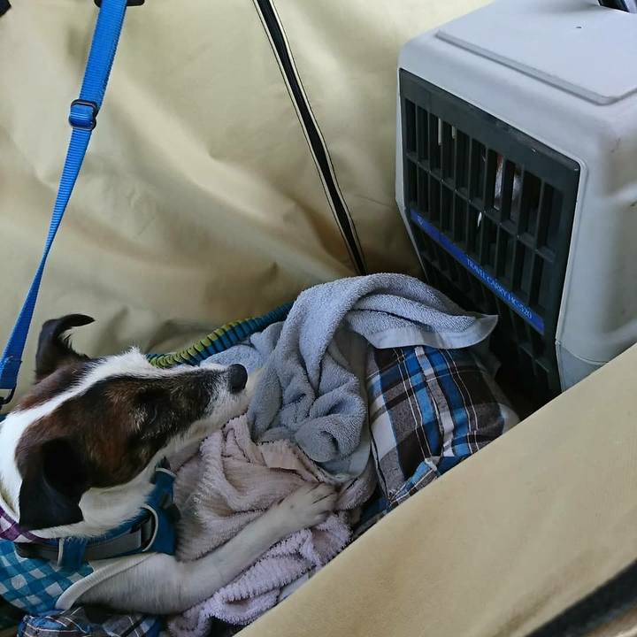 34fd50f1 321c 436c 9e1c 205c70482829 1523704418530