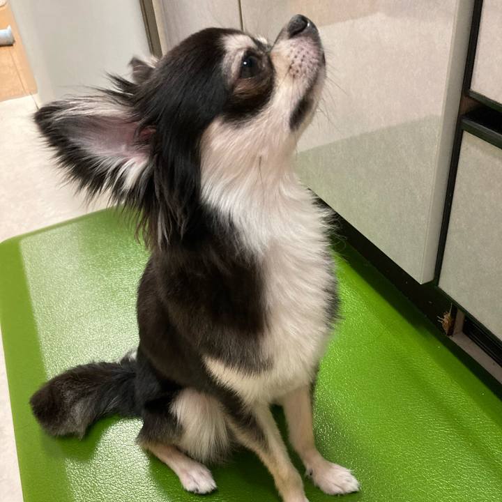 34fd5fa4 8f15 4698 86c6 2fa9a4c35220 1630761928984