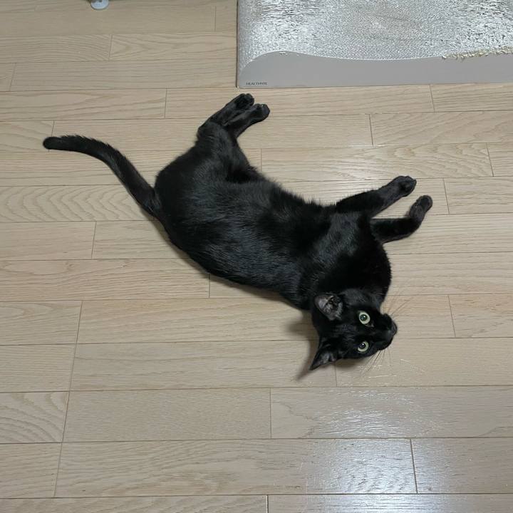 34fd6d92 68c7 49cc 9c17 07b976389e1a 1693224744325