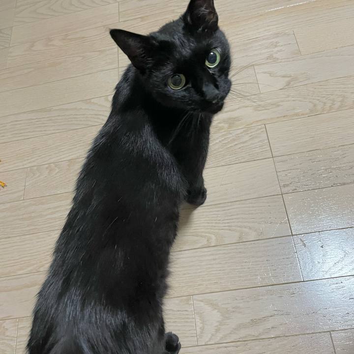 34fdb31d a6be 4991 a76b 5dd3c553e1f8 1687785942125