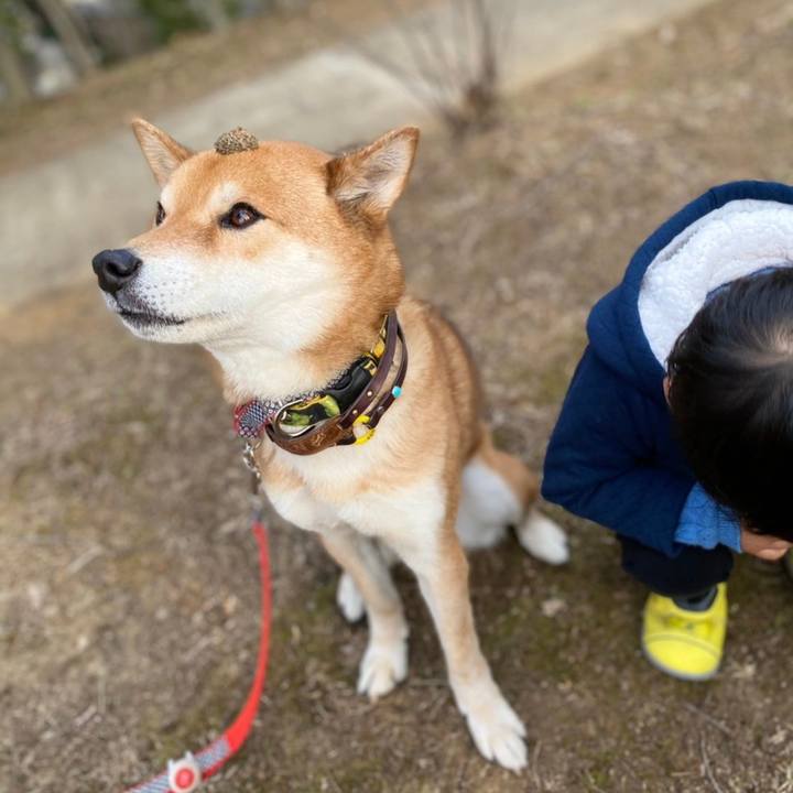 34fdb41b 0361 466c ba8e de22c2c0fa15 1613116719227