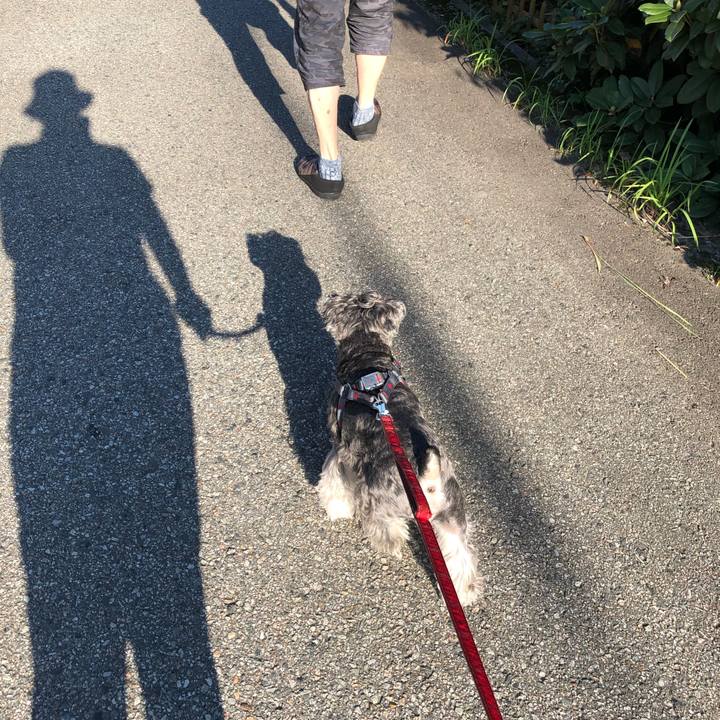 34fe32ea 64d3 4186 be5f 253027801221 1664673837119