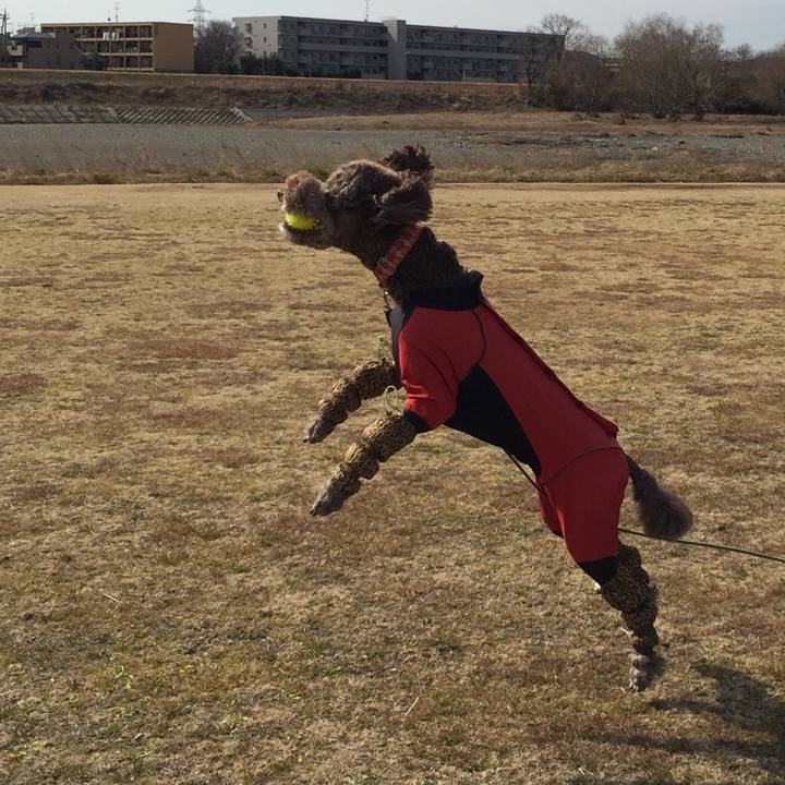 34fe6096 fdaf 408a 82e0 7c6021943a81 1518684018021