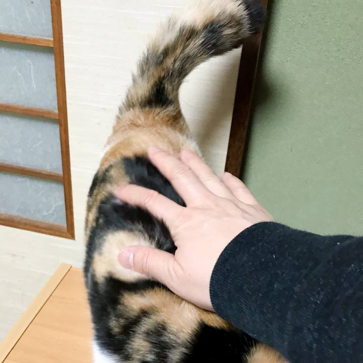 34fe6131 c108 486f aa69 d00e4ea0528d 1519654148181