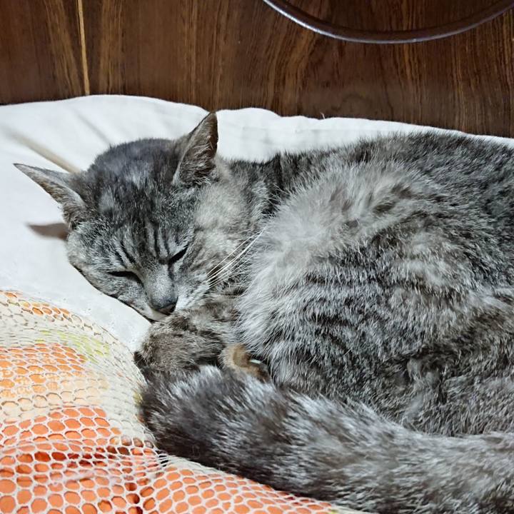 34fe7653 72b7 4c8e b495 3a4dbb5d087e 1591187188099