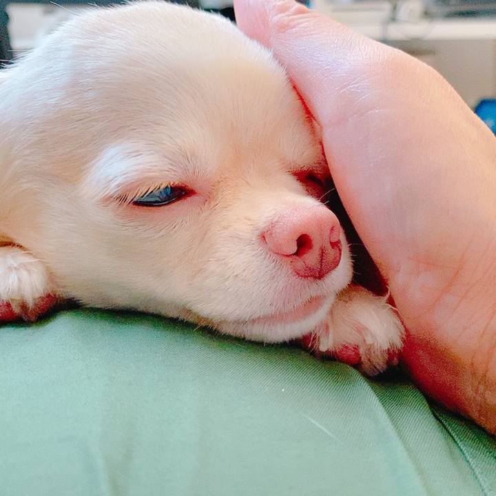 34fe82bc ff88 4315 a32e d84731f816f5 1626445849486