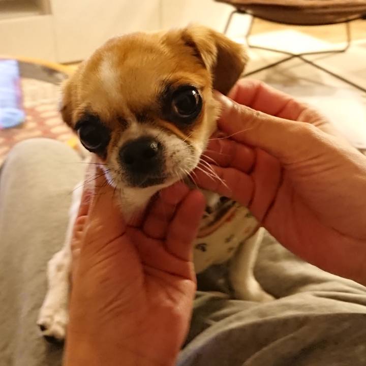 34fe93ad 05d2 4587 9ce6 a0de3cf0c421 1556146521871