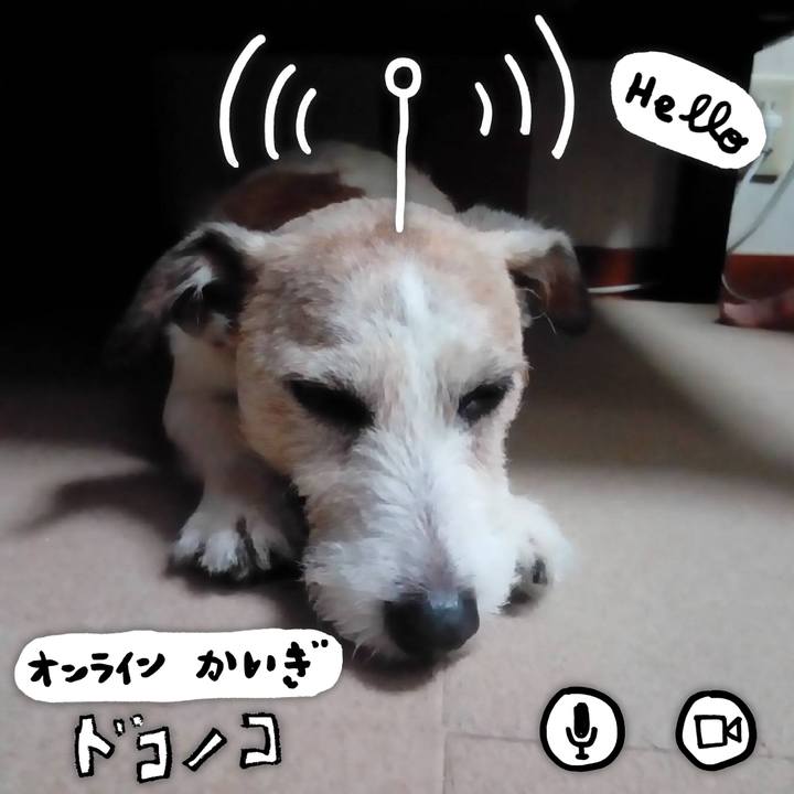 34fe9e66 a3b6 4249 bbf8 a6528a6fbd4c 1592836495420