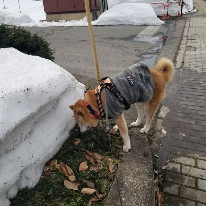 34fea687 3f09 477c bbf6 876c7fb06e6d 1741747405845