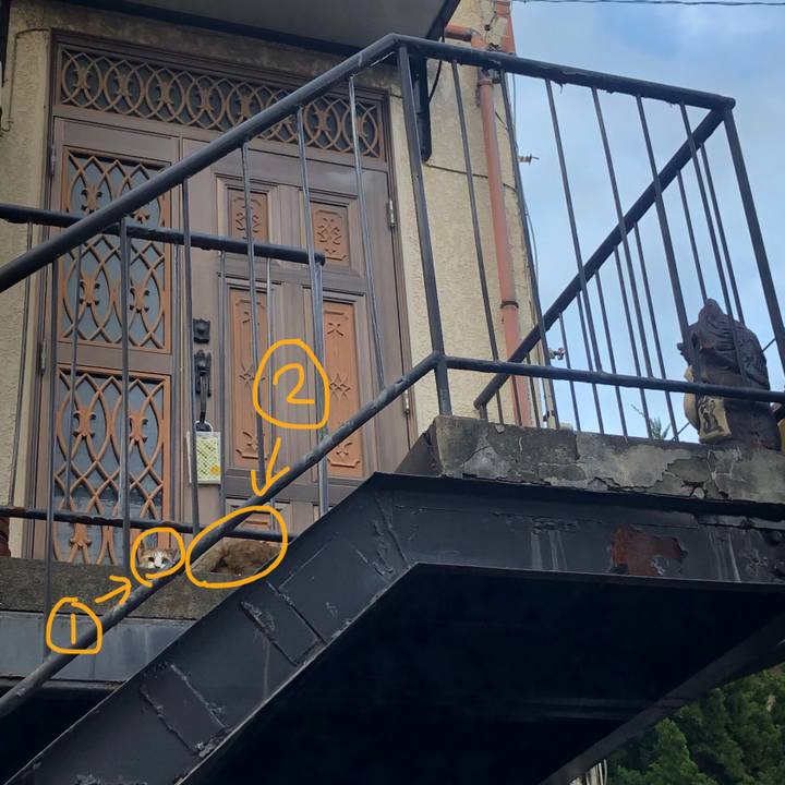 34fec025 4d1b 4e59 a4c6 75cb72810903 1584026613757