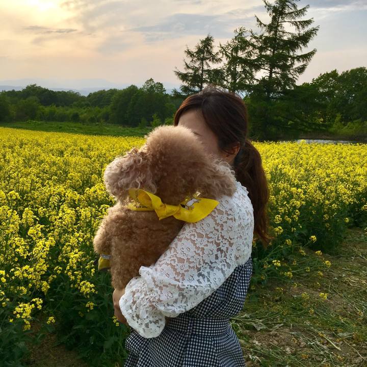 34fee1c2 b9a4 4644 ac5a bbcd0ce63c8e 1553177934840