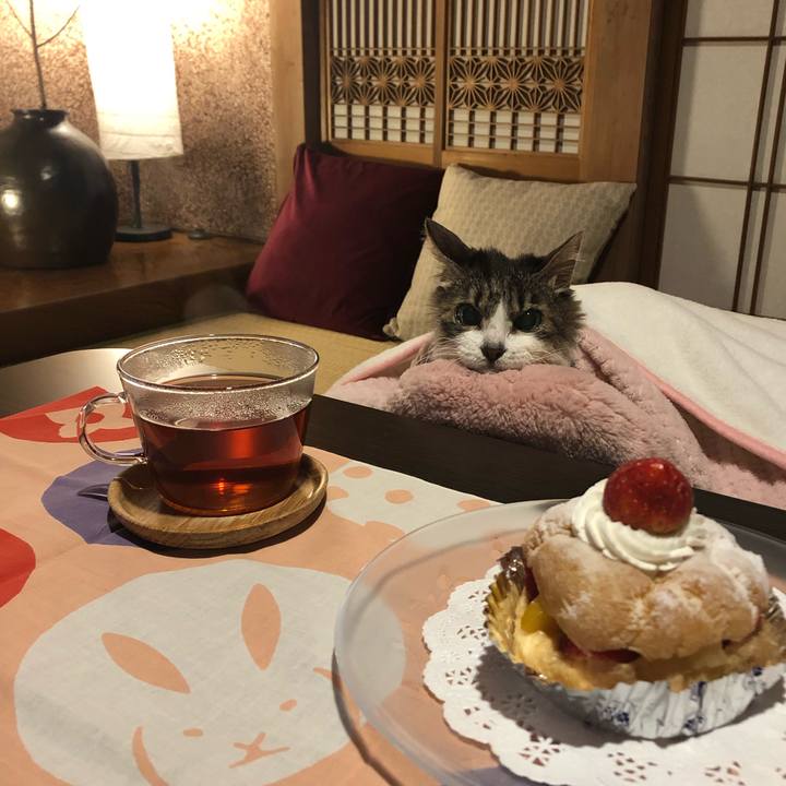 34feec1f ee77 4ab3 bfda a29262641260 1577800810716