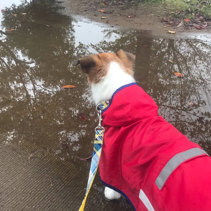 34ff2f4a b01a 478c b83d f67152bcffa8 1540596634733