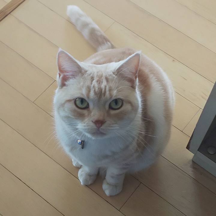 34ff9beb 6345 4f4a a254 1c9e180f7868 1544401086466