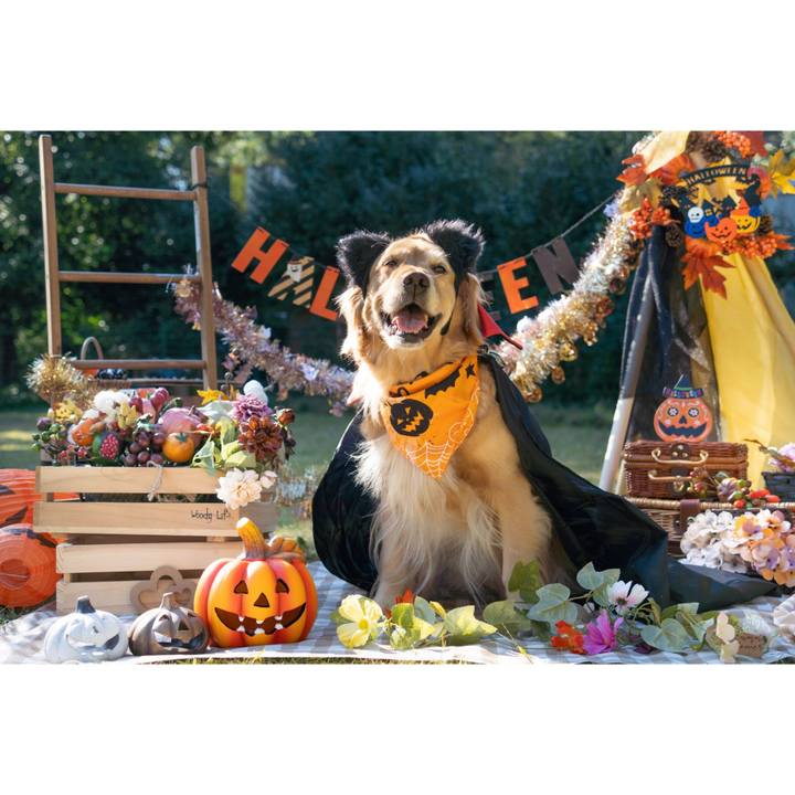 34ff9e55 4bb5 483f b5eb 10714e4580fa 1640249310908