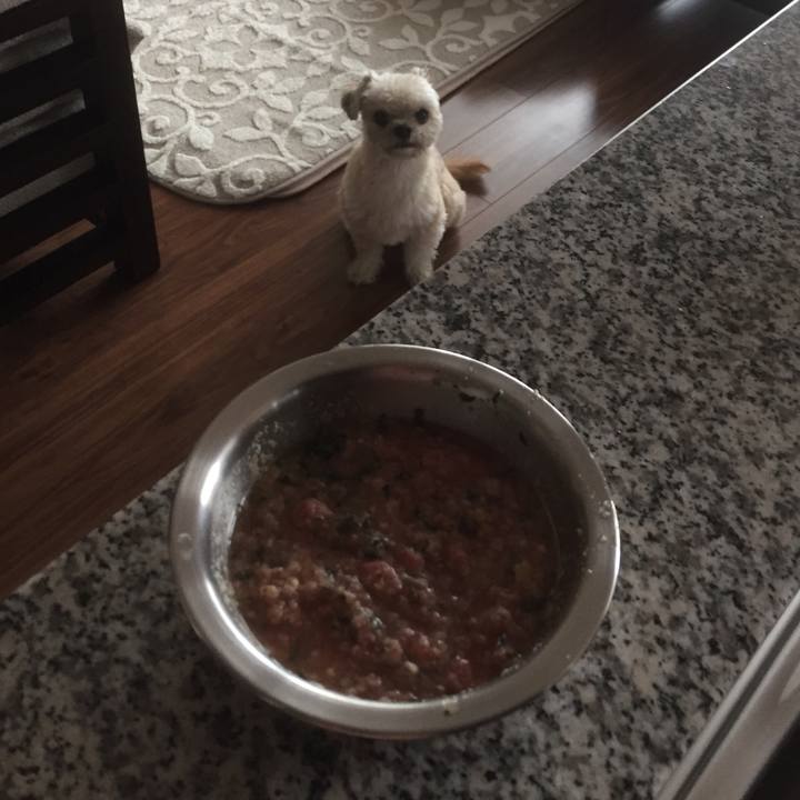 34ffa464 d0a8 4134 8c0b b857aeaaa570 1555230065731