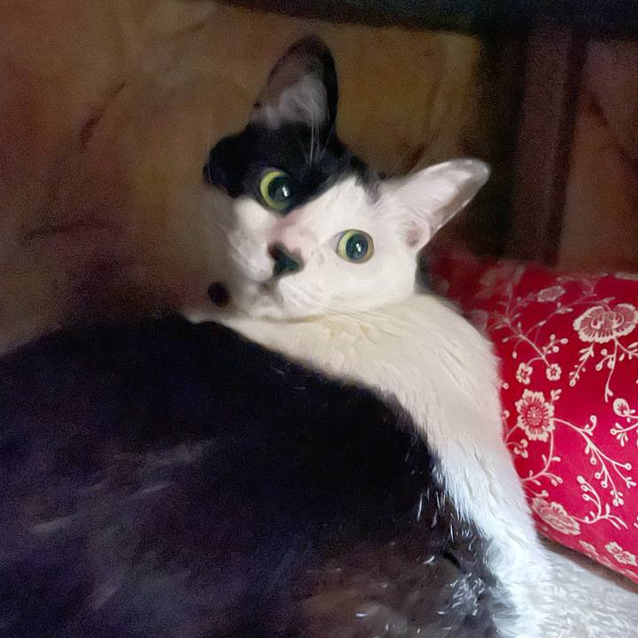 34ffba96 79bd 43d8 851d 6dbea8f917a5 1771666332655