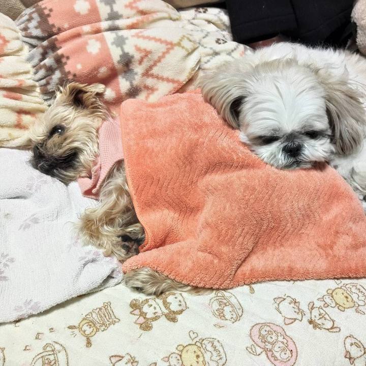 34ffbfc5 7fa0 4ce3 975d 6f1dec587f9b 1743224857043