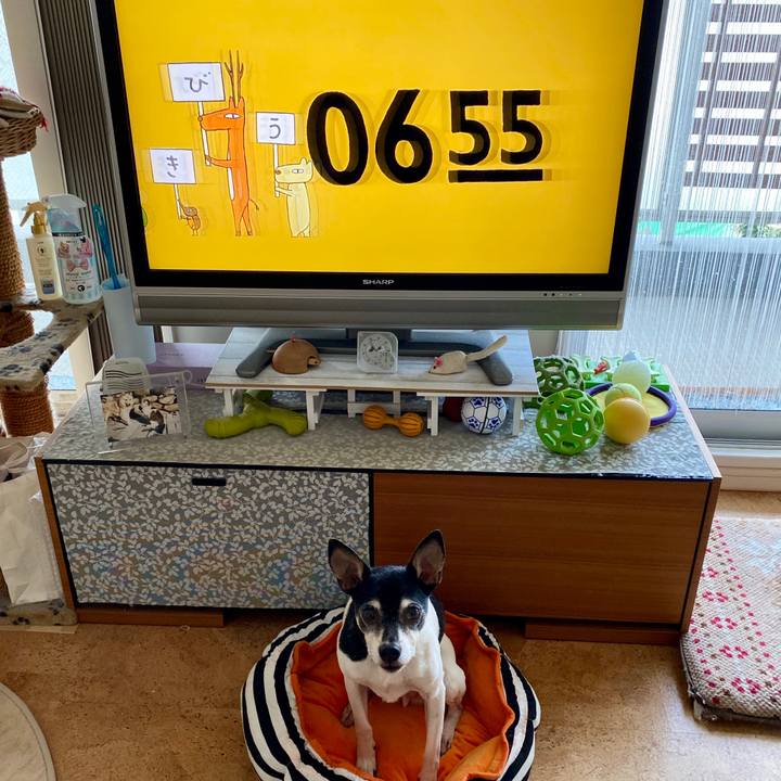 34ffd463 e4c5 4be1 8011 200967864dc0 1586469618960