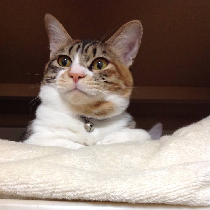 34ffef82 23c3 4481 be58 5c11160677c3 1642976878816