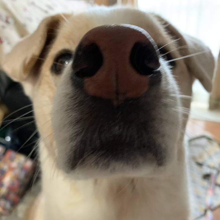 3500305a fd87 45cd 8d54 45871feacd78 1576468331834