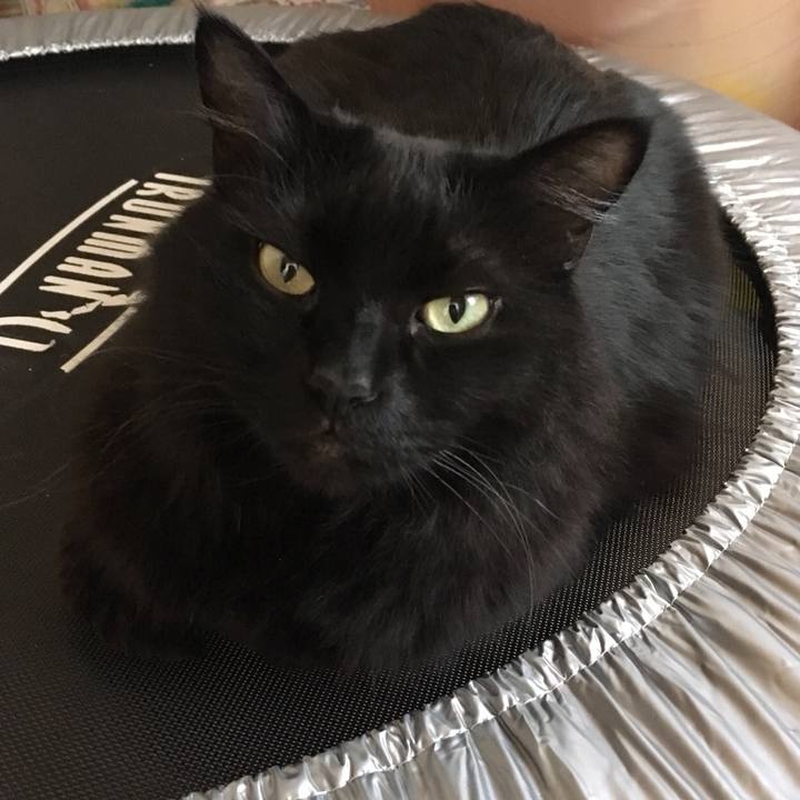 35004bdb b2d2 4961 8606 8208080a660f 1518136080497