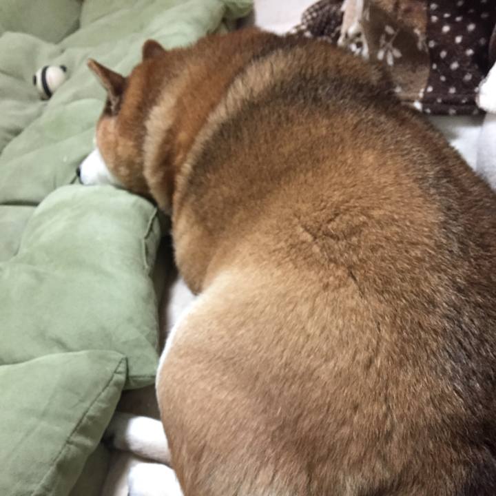 35005644 2042 4059 bbf2 081d44fa7eaf 1517578067300