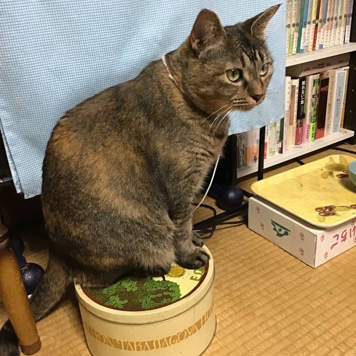 35006cac 68b6 46d4 a040 91dee54c0691 1697010431712