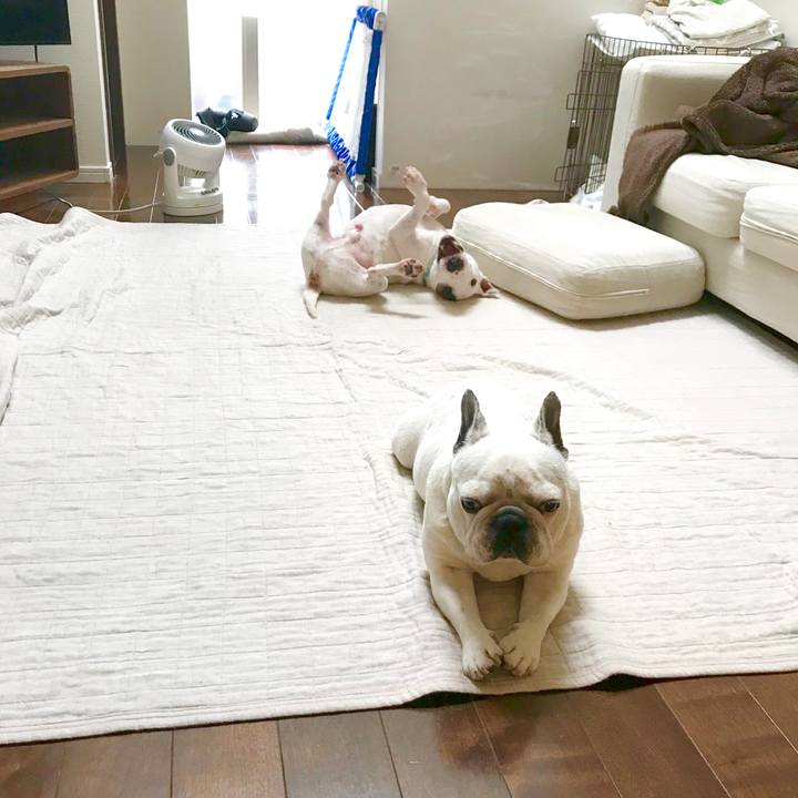 35007012 7c48 4023 be49 10a0ada6b785 1561849361704