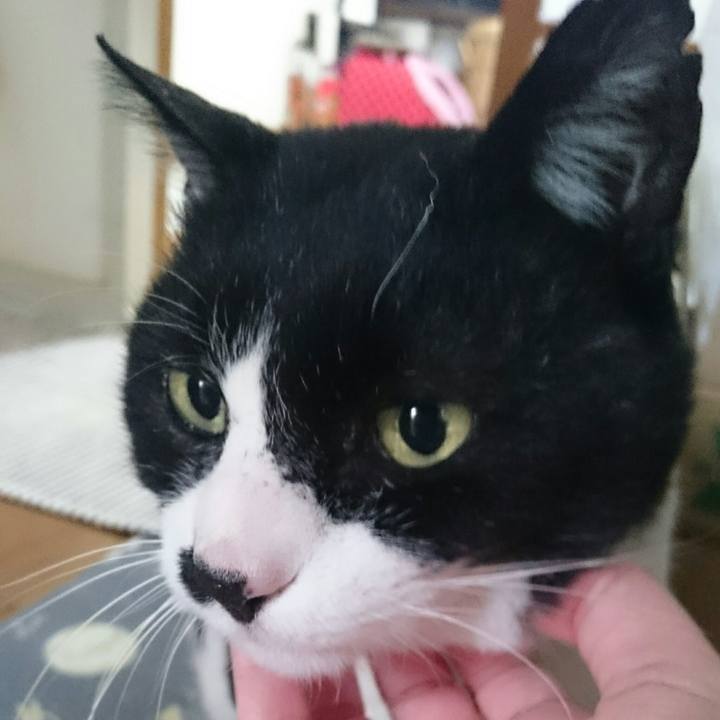 35007296 c035 4572 bf4f bc6344f2f0e7 1521417343740