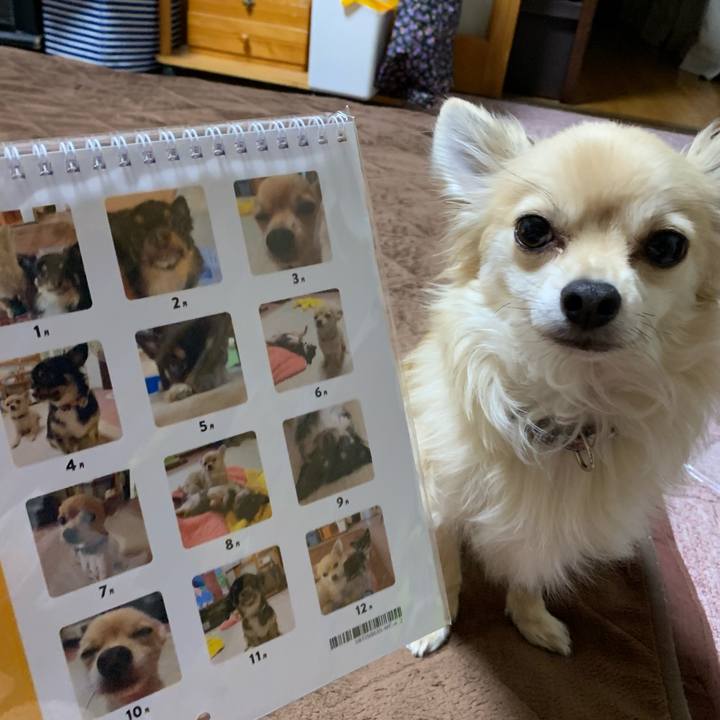 3500c62e 7c4a 4028 98af 9d6f415ea1cf 1607850620525