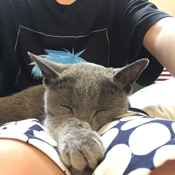 3500cd17 aead 4cb5 be82 0d2add88e97f 1589257824381