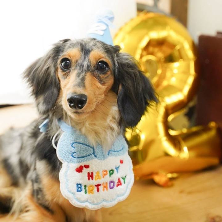 3500df5c f1ce 4262 bfc3 49085e6a13e5 1752498103937