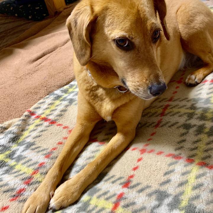 350141d5 2c47 4ea0 a19e 3802aac89b62 1563797052613