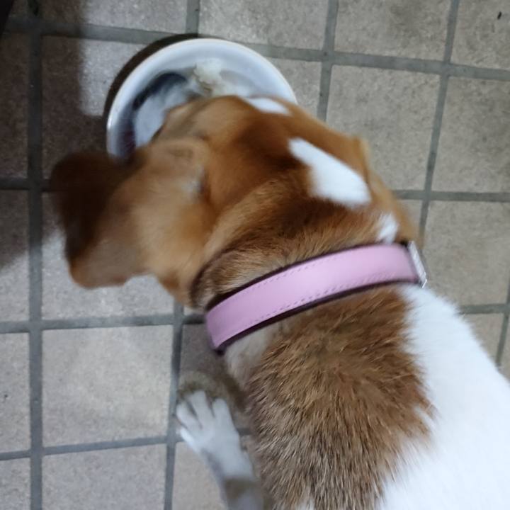 35014dde fb89 411a a6a6 71cafda7fe77 1578384182382