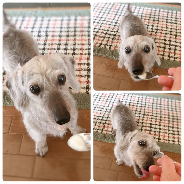 35015ac1 fa48 40e2 a179 bf622b2d94a6 1531695170916