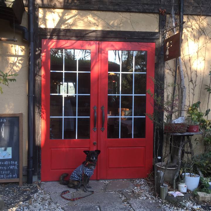 3501c6de 4022 4e09 b748 f00841db1fb0 1545919902524