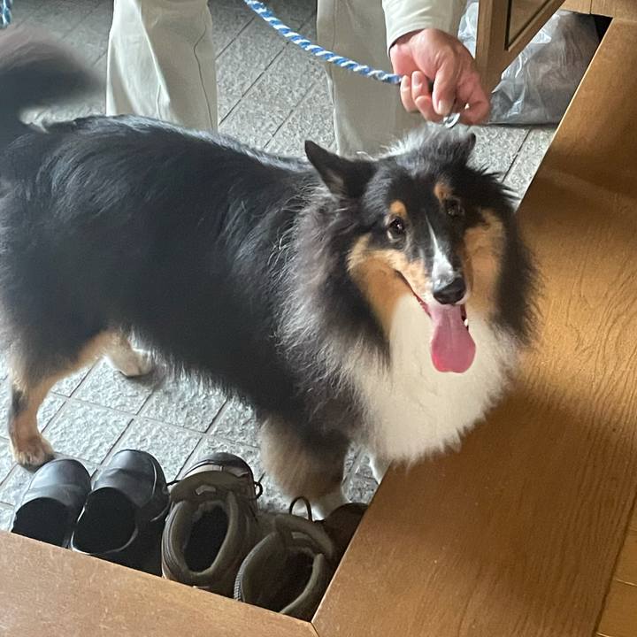 350208b9 de54 42a9 bf34 aafb381ec90b 1631829655719