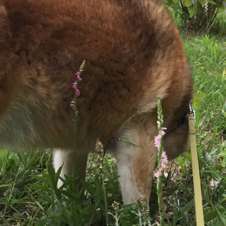 35022842 aabb 4baa 83ba 00eeba30353e 1623575672519