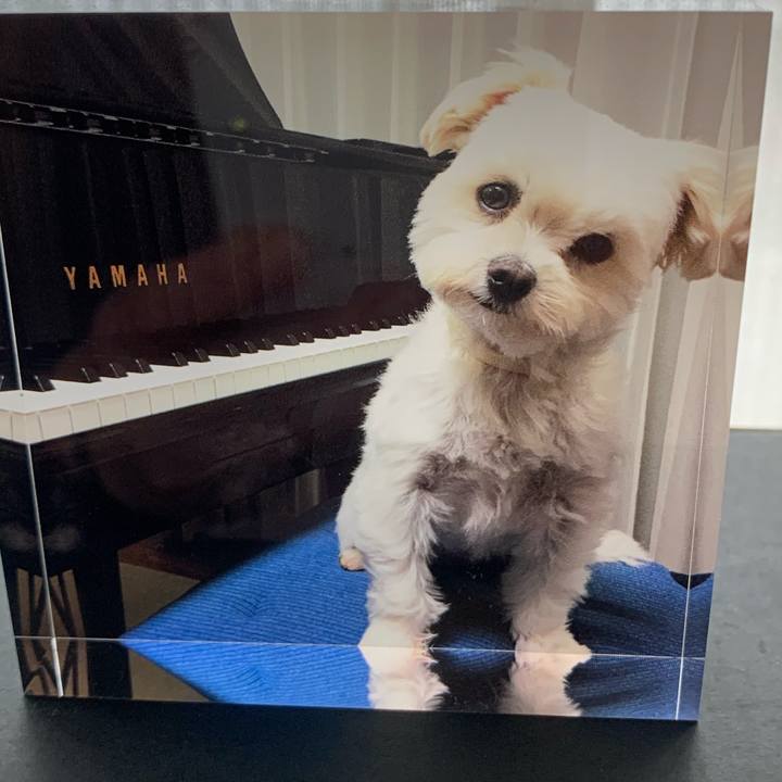 3502526b b5cc 494a a317 e6d8f80560db 1576043438385