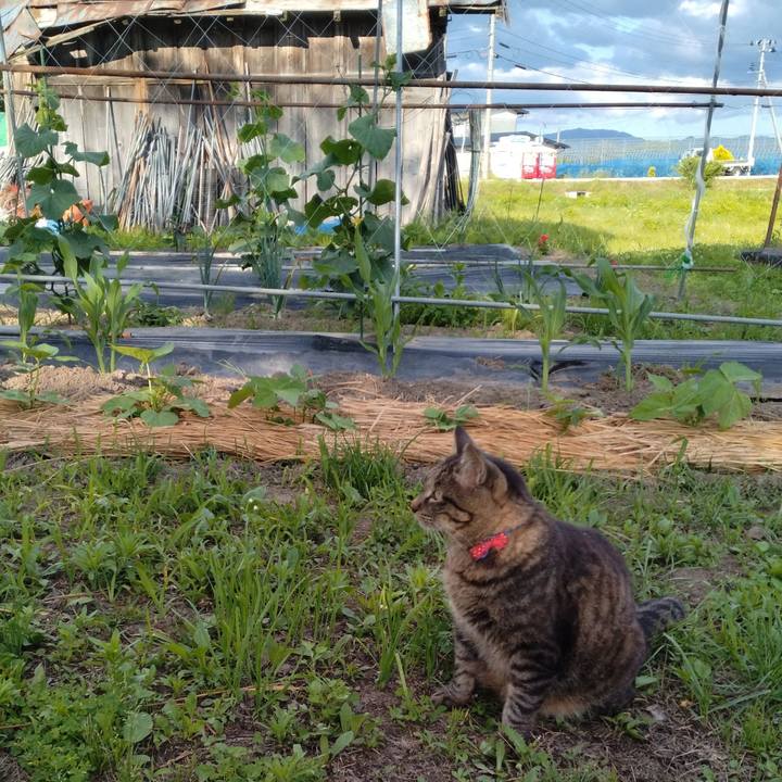 35026b59 c4c5 4d7e b025 0ccfd8f88c63 1687166231788